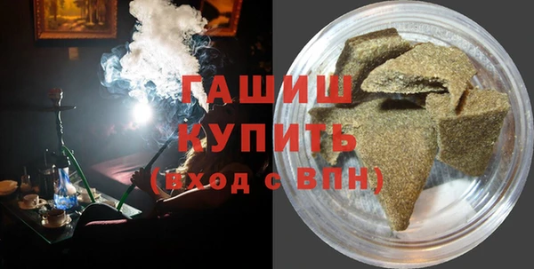 прущие грибы Гусиноозёрск