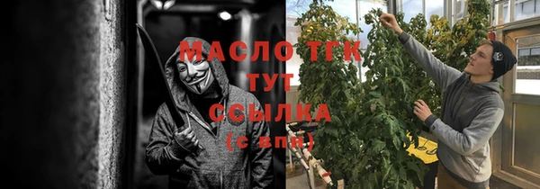 прущие грибы Гусиноозёрск