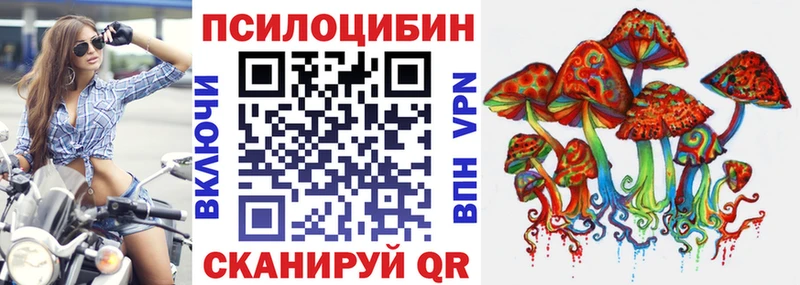 Псилоцибиновые грибы GOLDEN TEACHER  Купить закладки  Ленинск 